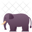 پیش‌نمایش فایل elephant-2493633 از پک حیوانات