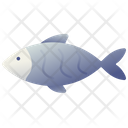 پیش‌نمایش فایل fish-2493631 از پک حیوانات