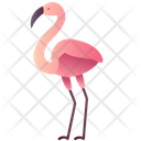 پیش‌نمایش فایل flamingo-2493629 از پک حیوانات
