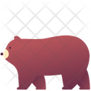 پیش‌نمایش فایل grizzly-bear-2493613 از پک حیوانات