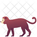 پیش‌نمایش فایل monkey-2493624 از پک حیوانات