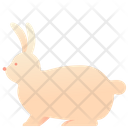 پیش‌نمایش فایل rabbit-2493642 از پک حیوانات