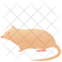پیش‌نمایش فایل rat-2493621 از پک حیوانات