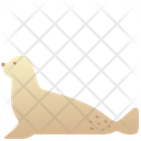 پیش‌نمایش فایل seal-2493634 از پک حیوانات