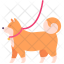 پیش‌نمایش فایل walking-with-dog-2489318 از پک وسایل آرامش‌بخش