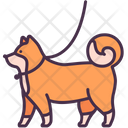 پیش‌نمایش فایل walking-with-dog-2489364 از پک وسایل آرامش‌بخش