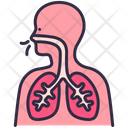 پیش‌نمایش فایل lungs-2495827 از پک آلودگی هوا