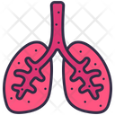 پیش‌نمایش فایل lungs-disease-2495852 از پک آلودگی هوا