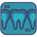 پیش‌نمایش فایل x-ray-teeth-2495368 از پک دندانپزشکی