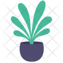 پیش‌نمایش فایل plant-2494922 از پک مبلمان و دکوراسیون منزل