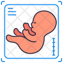 پیش‌نمایش فایل ultrasound-2649254 از پک پزشکی