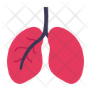 پیش‌نمایش فایل lungs-2649302 از پک پزشکی
