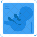 پیش‌نمایش فایل ultrasound-2649290 از پک پزشکی