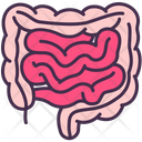 پیش‌نمایش فایل intestine-3745267 از پک اندام‌های داخلی بدن