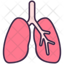 پیش‌نمایش فایل lungs-3745278 از پک اندام‌های داخلی بدن