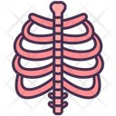 پیش‌نمایش فایل skeletal-system-3745279 از پک اندام‌های داخلی بدن