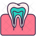 پیش‌نمایش فایل teeth-3745285 از پک اندام‌های داخلی بدن