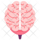 پیش‌نمایش فایل brain-3745178 از پک اندام‌های داخلی بدن
