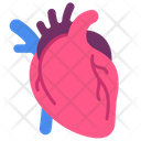 پیش‌نمایش فایل heart-3745187 از پک اندام‌های داخلی بدن