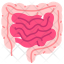 پیش‌نمایش فایل intestine-3745189 از پک اندام‌های داخلی بدن