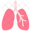 پیش‌نمایش فایل lungs-3745200 از پک اندام‌های داخلی بدن