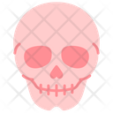پیش‌نمایش فایل skull-3745205 از پک اندام‌های داخلی بدن