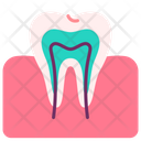 پیش‌نمایش فایل teeth-3745207 از پک اندام‌های داخلی بدن