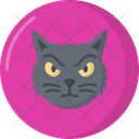 پیش‌نمایش فایل scary-cat-12780345 از پک هالووین
