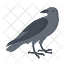 پیش‌نمایش فایل crow-12779920 از پک هالووین