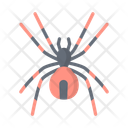 پیش‌نمایش فایل spider-12779946 از پک هالووین