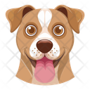 پیش‌نمایش فایل dog-12974386 از پک سگ ها