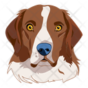 پیش‌نمایش فایل dog-12974387 از پک سگ ها