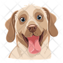 پیش‌نمایش فایل dog-12974388 از پک سگ ها
