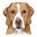 پیش‌نمایش فایل dog-12974389 از پک سگ ها