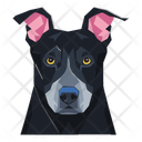 پیش‌نمایش فایل dog-12974393 از پک سگ ها