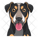 پیش‌نمایش فایل dog-12974398 از پک سگ ها