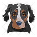 پیش‌نمایش فایل dog-12974399 از پک سگ ها