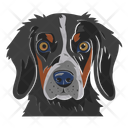 پیش‌نمایش فایل dog-12974400 از پک سگ ها
