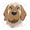 پیش‌نمایش فایل dog-12974403 از پک سگ ها