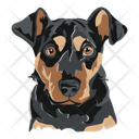 پیش‌نمایش فایل dog-12974404 از پک سگ ها