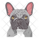 پیش‌نمایش فایل dog-12974408 از پک سگ ها