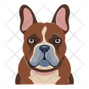 پیش‌نمایش فایل dog-12974409 از پک سگ ها