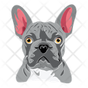 پیش‌نمایش فایل dog-12974410 از پک سگ ها