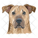 پیش‌نمایش فایل dog-12974414 از پک سگ ها