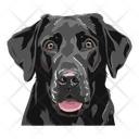 پیش‌نمایش فایل dog-12974416 از پک سگ ها