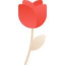 پیش‌نمایش فایل flower-2046855 از پک ولنتاین