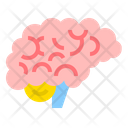 پیش‌نمایش فایل brain-2111186 از پک سلامتی و پزشکی