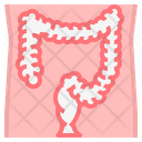 پیش‌نمایش فایل colon-2111164 از پک سلامتی و پزشکی