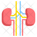 پیش‌نمایش فایل kidney-2111153 از پک سلامتی و پزشکی