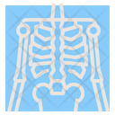 پیش‌نمایش فایل xray-2111165 از پک سلامتی و پزشکی